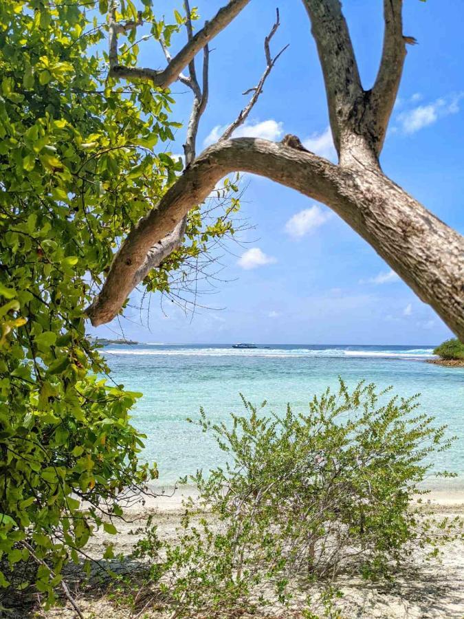 Dhoadhi Retreat Hotel Thulusdhoo Exterior foto