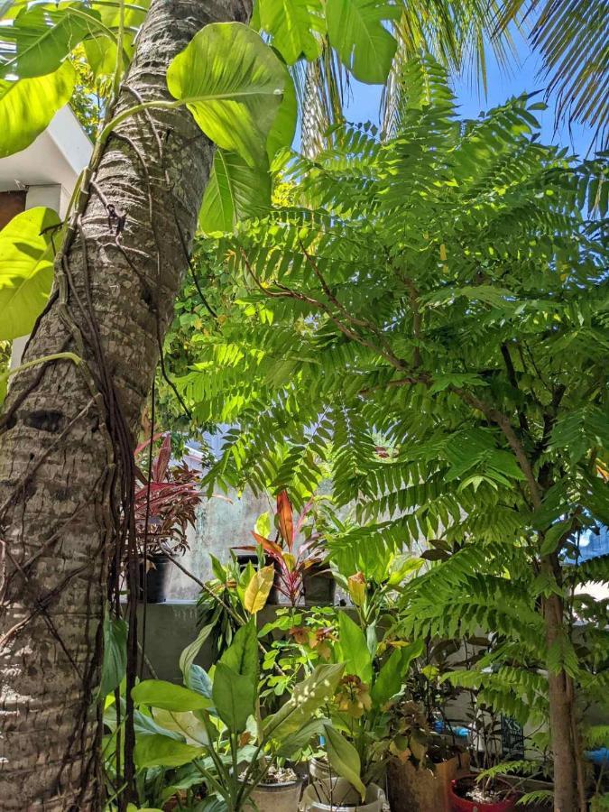 Dhoadhi Retreat Hotel Thulusdhoo Exterior foto